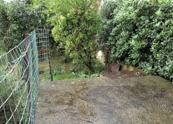 Giardino - Commercial Premises San Quirico
 
203/205, Campi Bisenzio - photo 22