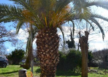 Giardino - Trilocale via Santa Barbara
 
71, Massa Marittima - foto 13