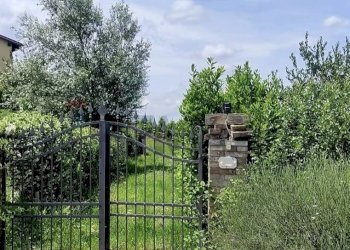 Giardino - Casa indipendente Scandicci - foto 5