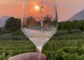 Giardino - Casa indipendente Scandicci - foto 10