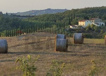 Vista delle montagne - Casa indipendente Scandicci - foto 35
