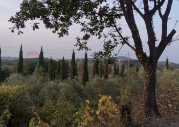 Vista delle montagne - Casa indipendente Scandicci - foto 42
