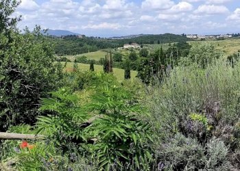 Vista delle montagne - Casa indipendente Scandicci - foto 46