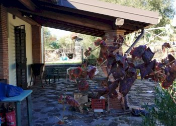 Terrazza - Villa VIA DELLE TERRE COTTE RAGALNA, Ragalna - foto 8