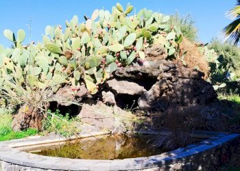 Giardino - Villa VIA DELLE TERRE COTTE RAGALNA, Ragalna - foto 22