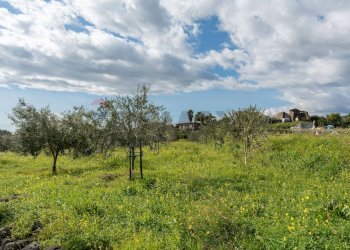 Giardino - Rustico via Dei Savochelli
 
snc, Mascali - foto 32