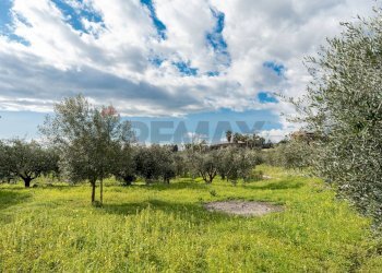 Giardino - Rustico via Dei Savochelli
 
snc, Mascali - foto 34