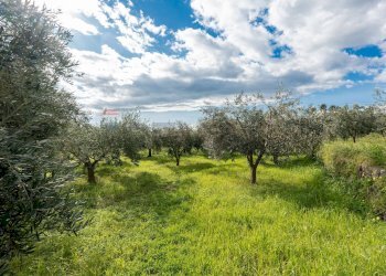 Giardino - Rustico via Dei Savochelli
 
snc, Mascali - foto 35