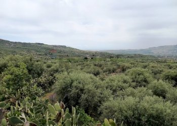 Vista delle montagne - Terreno agricolo Contrada Pernicotto, Adrano - foto 29