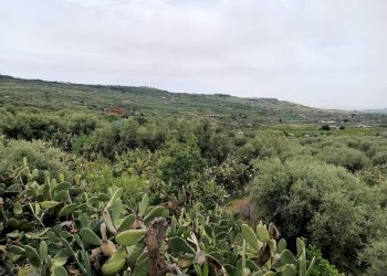 Vista delle montagne - Villa contrada Pernicotto, Adrano - photo 28