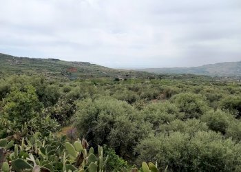 Vista delle montagne - Villa contrada Pernicotto, Adrano - photo 29