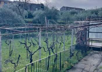 Vista delle montagne - Rustic Via Mongibello
 
2, Castiglione di Sicilia - photo 1