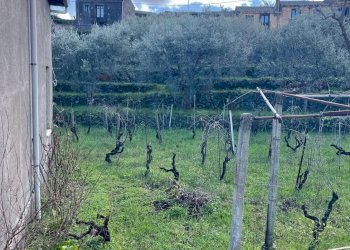 Vista delle montagne - Rustic Via Mongibello
 
2, Castiglione di Sicilia - photo 6