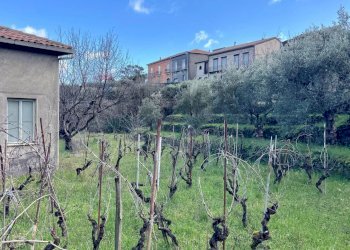 Non correlato - Rustic Via Mongibello
 
2, Castiglione di Sicilia - photo 7