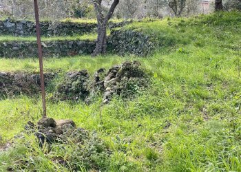 Giardino - Rustic Via Mongibello
 
2, Castiglione di Sicilia - photo 8