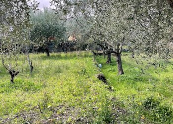 Giardino - Rustic Via Mongibello
 
2, Castiglione di Sicilia - photo 9