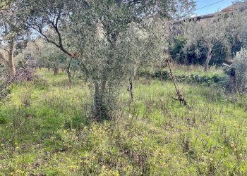 Vista delle montagne - Rustic Via Mongibello
 
2, Castiglione di Sicilia - photo 10