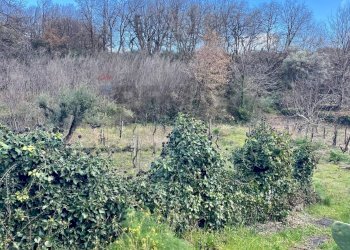 Vista delle montagne - Rustic Via Mongibello
 
2, Castiglione di Sicilia - photo 12