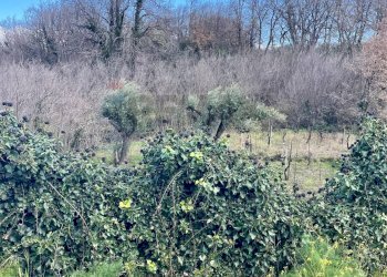 Vista delle montagne - Rustic Via Mongibello
 
2, Castiglione di Sicilia - photo 13