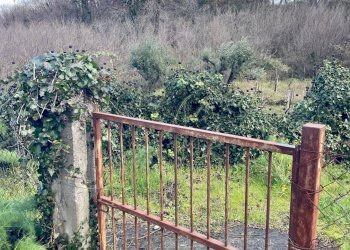 Giardino - Rustic Via Mongibello
 
2, Castiglione di Sicilia - photo 14