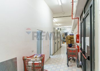 Hall / corridoio - Locale Commerciale Via Gelso Bianco
32, Catania - foto 22