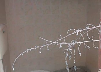 Bagno - Independent house ADRIANO
 
17/19, Pagliara - photo 14