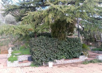 Giardino - Villa Strada Provinciale 51
 
snc, Enna - photo 38