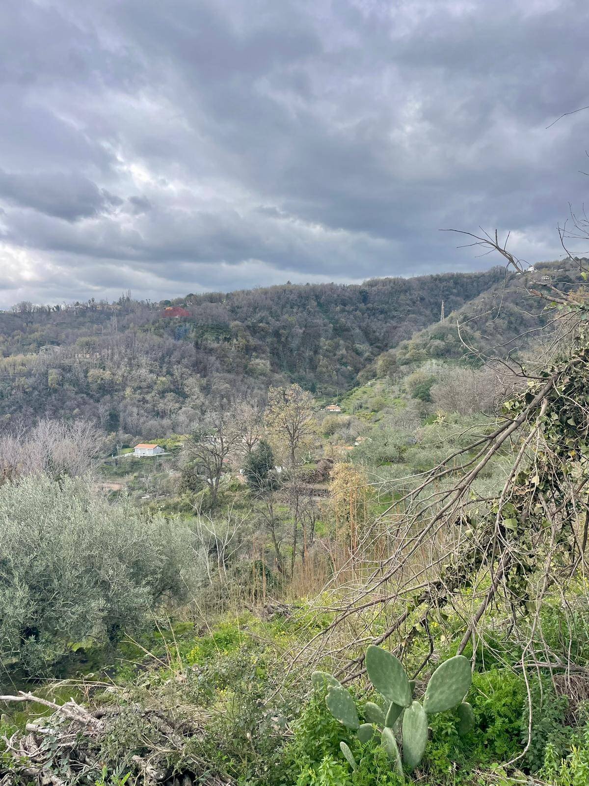 Vista delle montagne - Agricultural land SP 153
S.N., Sant'Alfio - photo 2