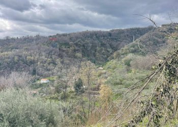 Vista delle montagne - Agricultural land SP 153
 
S.N., Sant'Alfio - photo 2