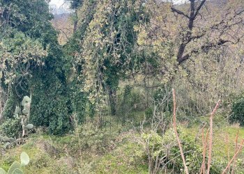 Non correlato - Agricultural land SP 153
 
S.N., Sant'Alfio - photo 5