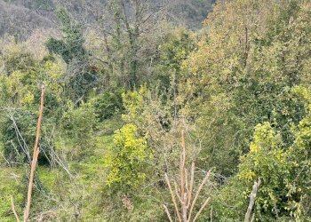 Vista delle montagne - Agricultural land SP 153
 
S.N., Sant'Alfio - photo 7