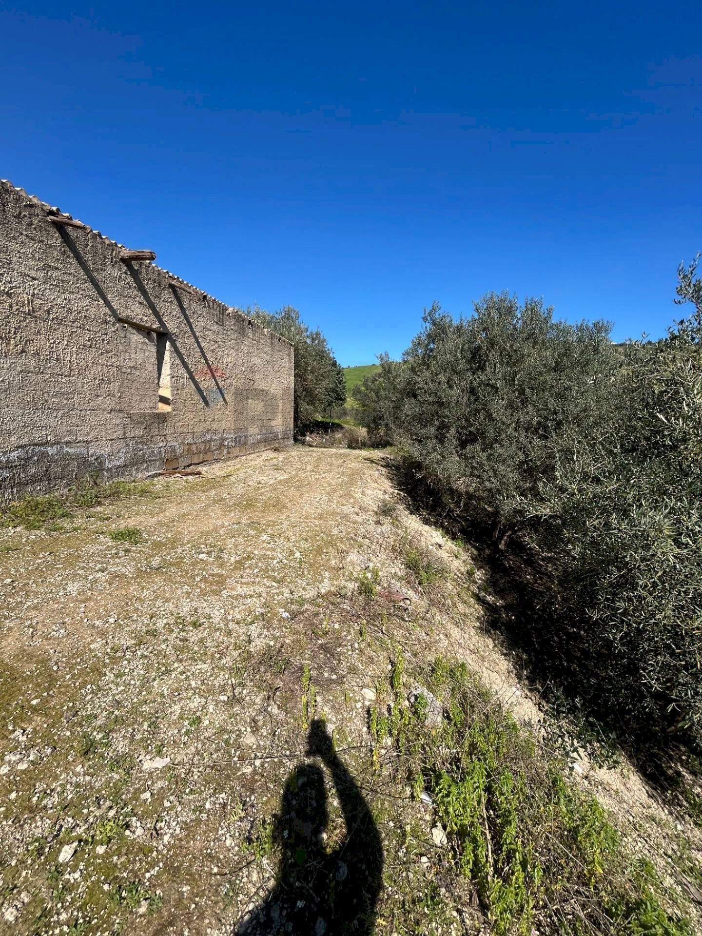 Vista delle montagne - Terreno agricolo Contrada Gulfi, Caltanissetta - foto 2