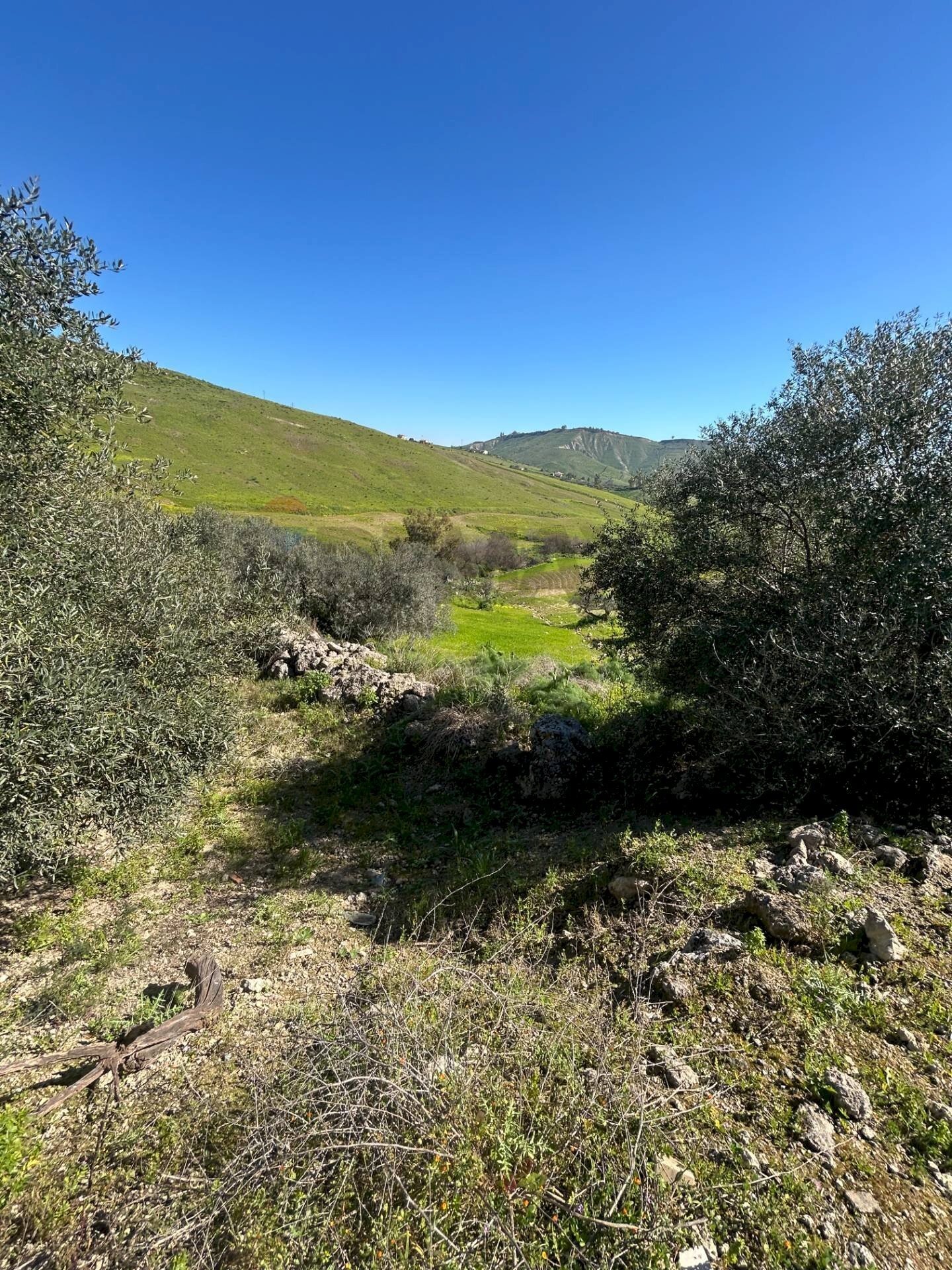 Vista delle montagne - Terreno agricolo Contrada Gulfi, Caltanissetta - foto 3