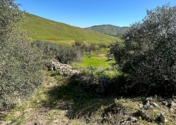 Vista delle montagne - Agricultural land Contrada Gulfi, Caltanissetta - photo 3
