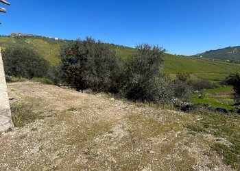 Vista delle montagne - Agricultural land Contrada Gulfi, Caltanissetta - photo 6