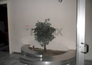 Dettagli - Appartamento Via Filippo Paladini
 
158, Caltanissetta - foto 19