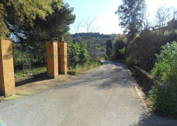 Giardino - Agricultural land Contrada  Niscima
 
snc, Caltanissetta - photo 3