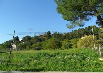 Giardino - Agricultural land Contrada  Niscima
 
snc, Caltanissetta - photo 4
