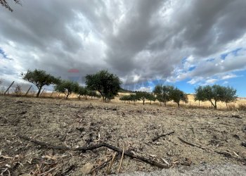 Giardino - Villa Contrada Favarella Bassa, Caltanissetta - photo 22