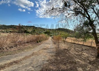 Vista delle montagne - Villa Contrada Favarella Bassa, Caltanissetta - photo 82