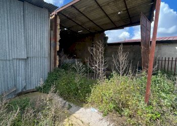 Giardino - Magazzino Contrada Calderaro, Caltanissetta - foto 5