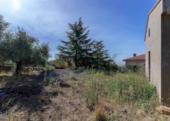 Giardino - Monolocale CONTRADA VALLONE ROSSO
 
SNC, Biancavilla - foto 2