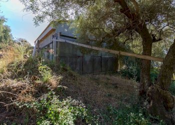 Giardino - Monolocale CONTRADA VALLONE ROSSO
 
SNC, Biancavilla - foto 4