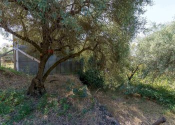 Giardino - Monolocale CONTRADA VALLONE ROSSO
 
SNC, Biancavilla - foto 12