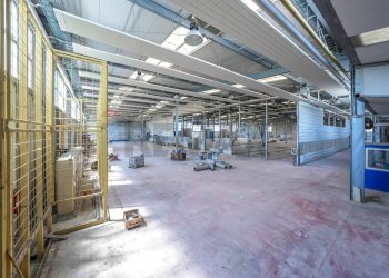 Palestra - Capannone Ferrara - foto 13