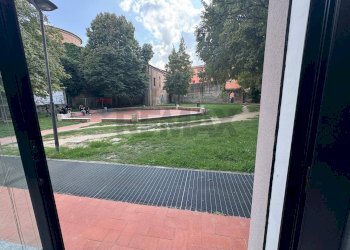 Giardino - Negozio Ferrara - foto 8