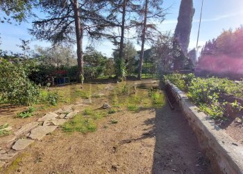 Giardino - Villa Piombino - foto 22