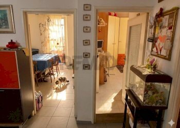 Hall / corridoio - Quadrilocale Piombino - foto 5