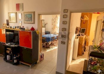 Hall / corridoio - Quadrilocale Piombino - foto 7