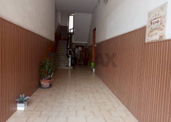 Hall / corridoio - Quadrilocale Piombino - foto 14